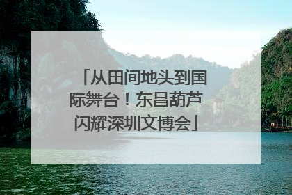 从田间地头到国际舞台！东昌葫芦闪耀深圳文博会