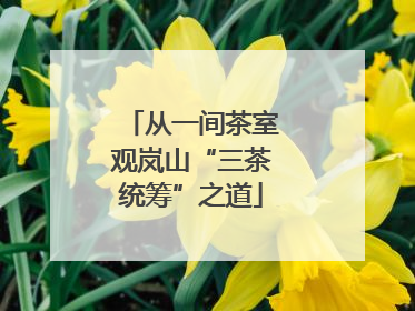 从一间茶室观岚山“三茶统筹”之道