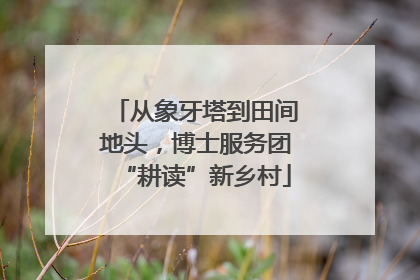 从象牙塔到田间地头，博士服务团“耕读”新乡村