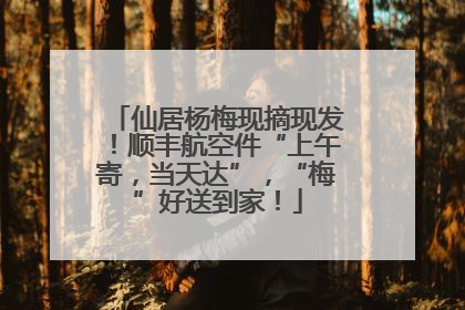 仙居杨梅现摘现发！顺丰航空件“上午寄，当天达”，“梅”好送到家！