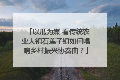 以瓜为媒 看传统农业大镇石莲子镇如何唱响乡村振兴协奏曲？