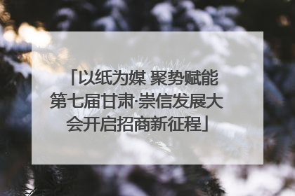 以纸为媒 聚势赋能 第七届甘肃·崇信发展大会开启招商新征程