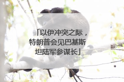 以伊冲突之际，特朗普会见巴基斯坦陆军参谋长