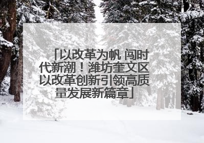 以改革为帆 闯时代新潮!潍坊奎文区以改革创新引领高质量发展新篇章