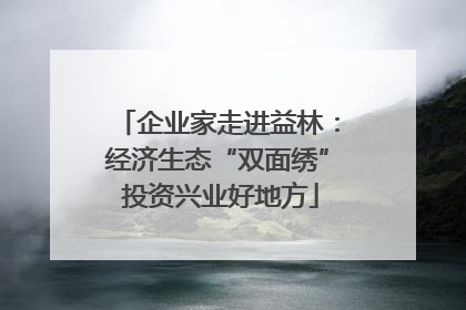 企业家走进益林：经济生态“双面绣” 投资兴业好地方