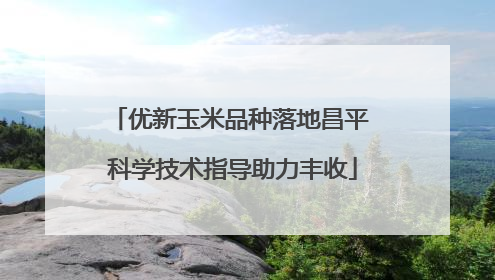 优新玉米品种落地昌平 科学技术指导助力丰收
