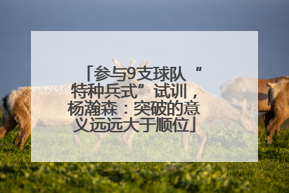 参与9支球队“特种兵式”试训，杨瀚森：突破的意义远远大于顺位