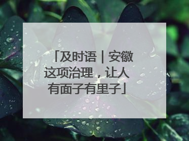及时语｜安徽这项治理，让人有面子有里子