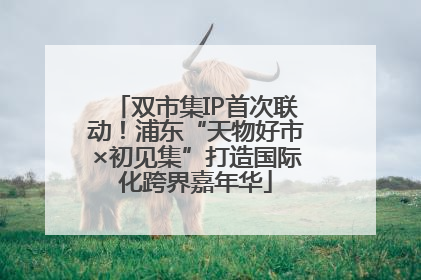 双市集IP首次联动！浦东“天物好市×初见集”打造国际化跨界嘉年华