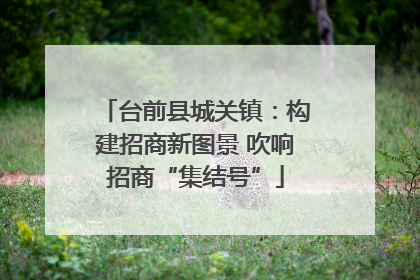 台前县城关镇：构建招商新图景 吹响招商“集结号”
