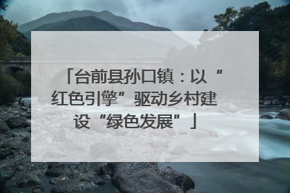 台前县孙口镇：以“红色引擎”驱动乡村建设“绿色发展”