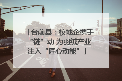 台前县：校地企携手“链”动 为羽绒产业注入“匠心动能”