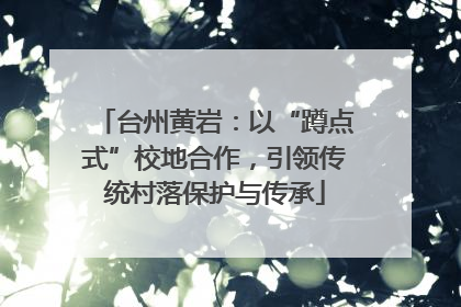 台州黄岩：以“蹲点式”校地合作，引领传统村落保护与传承