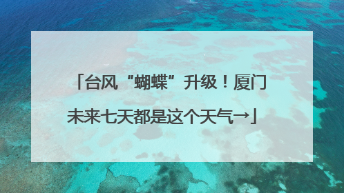 台风“蝴蝶”升级！厦门未来七天都是这个天气→