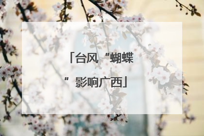 台风“蝴蝶”影响广西