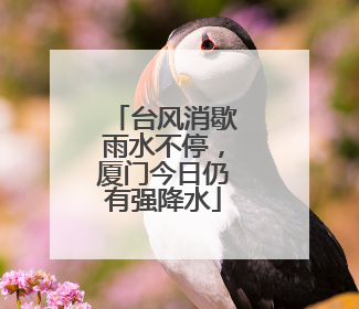 台风消歇雨水不停，厦门今日仍有强降水