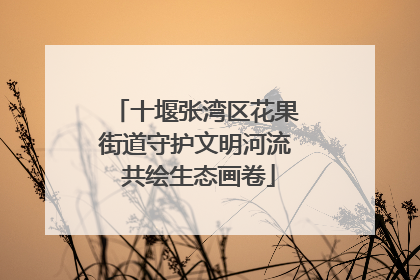十堰张湾区花果街道守护文明河流 共绘生态画卷