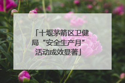 十堰茅箭区卫健局“安全生产月”活动成效显著