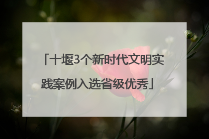 十堰3个新时代文明实践案例入选省级优秀