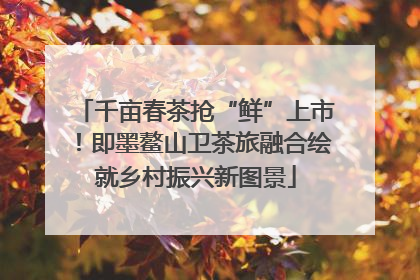 千亩春茶抢“鲜”上市！即墨鳌山卫茶旅融合绘就乡村振兴新图景
