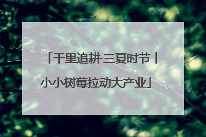 千里追耕·三夏时节丨小小树莓拉动大产业