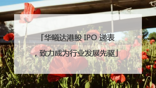 华曦达港股 IPO 递表，致力成为行业发展先驱