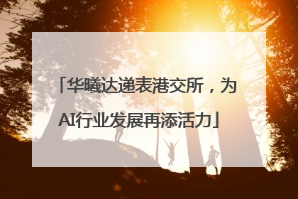 华曦达递表港交所，为AI行业发展再添活力
