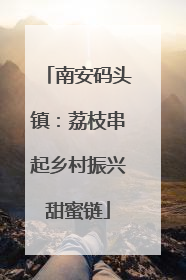 南安码头镇：荔枝串起乡村振兴甜蜜链