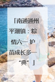 南通通州平潮镇：粽情六一 护苗成长多一“典”