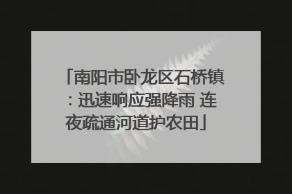 南阳市卧龙区石桥镇：迅速响应强降雨 连夜疏通河道护农田