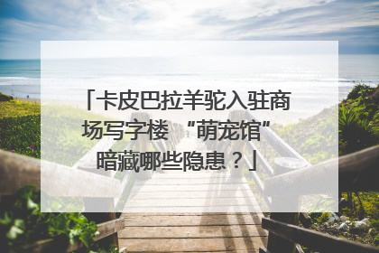 卡皮巴拉羊驼入驻商场写字楼 “萌宠馆”暗藏哪些隐患？