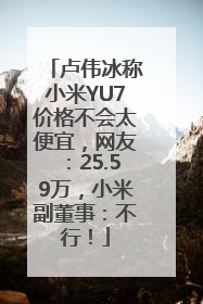 卢伟冰称小米YU7价格不会太便宜，网友：25.59万，小米副董事：不行！