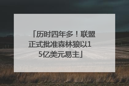历时四年多！联盟正式批准森林狼以15亿美元易主