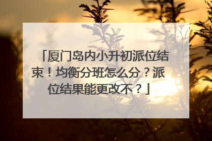 厦门岛内小升初派位结束！均衡分班怎么分？派位结果能更改不？