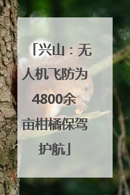 兴山：无人机飞防为4800余亩柑橘保驾护航