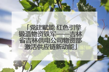 党建赋能 红色引擎锻造物资铁军——吉林省吉林供电公司物资部激活供应链新动能