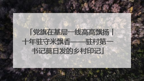 党旗在基层一线高高飘扬丨十年驻守米飘香——驻村第一书记莫日发的乡村印记