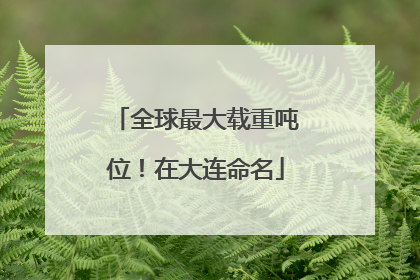 全球最大载重吨位！在大连命名