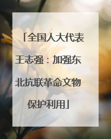 全国人大代表王志强：加强东北抗联革命文物保护利用