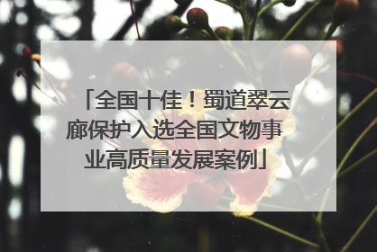 全国十佳！蜀道翠云廊保护入选全国文物事业高质量发展案例