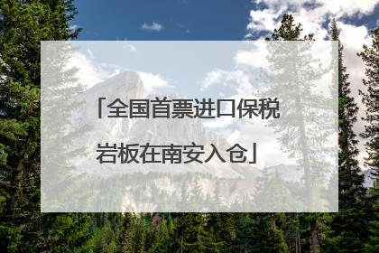 全国首票进口保税岩板在南安入仓