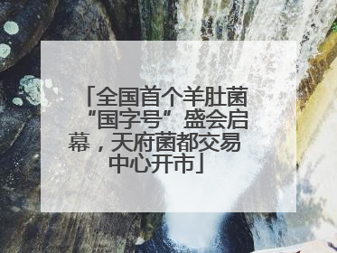 全国首个羊肚菌“国字号”盛会启幕，天府菌都交易中心开市