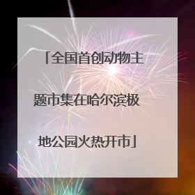 全国首创动物主题市集在哈尔滨极地公园火热开市