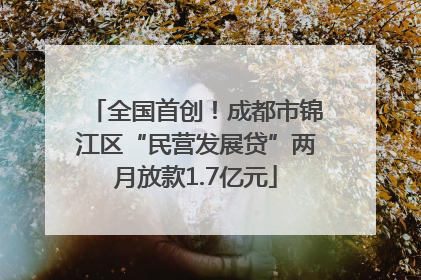 全国首创！成都市锦江区“民营发展贷”两月放款1.7亿元
