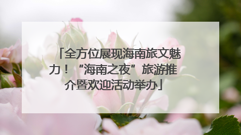 全方位展现海南旅文魅力！“海南之夜”旅游推介暨欢迎活动举办