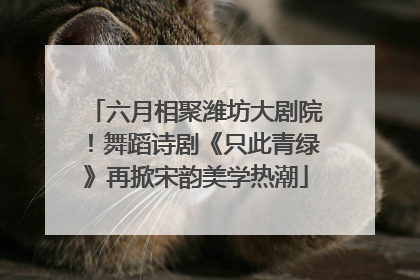 六月相聚潍坊大剧院！舞蹈诗剧《只此青绿》再掀宋韵美学热潮