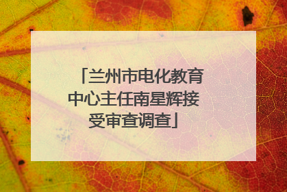兰州市电化教育中心主任南星辉接受审查调查