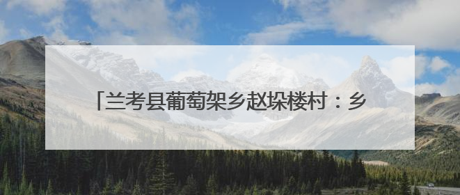 兰考县葡萄架乡赵垛楼村：乡村电商里的“甜蜜”创业路