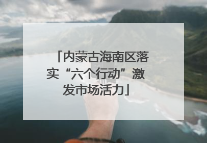 内蒙古海南区落实“六个行动”激发市场活力