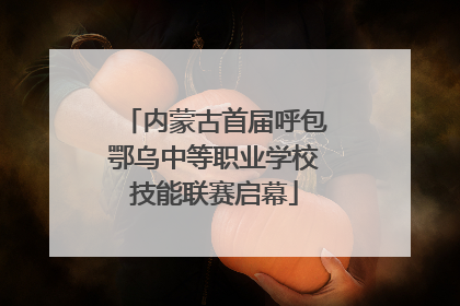 内蒙古首届呼包鄂乌中等职业学校技能联赛启幕